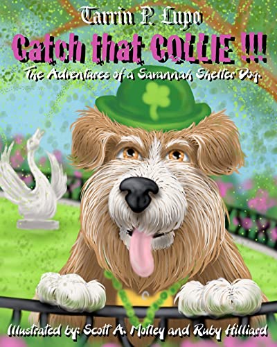 Catch That Collie