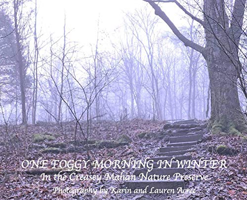 One Foggy Morning in Winter