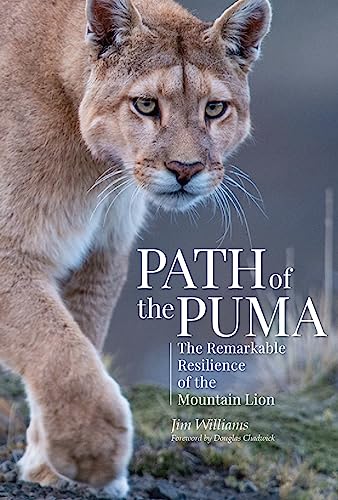 Path of the Puma
