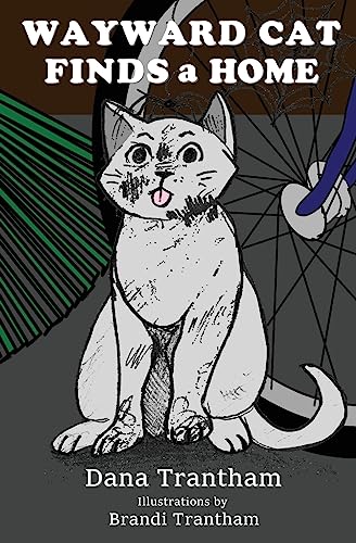 Wayward Cat Finds a Home