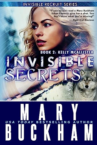 Invisible Secrets Book Two