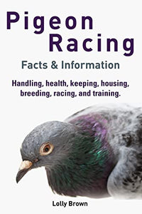 Pigeon Racing 