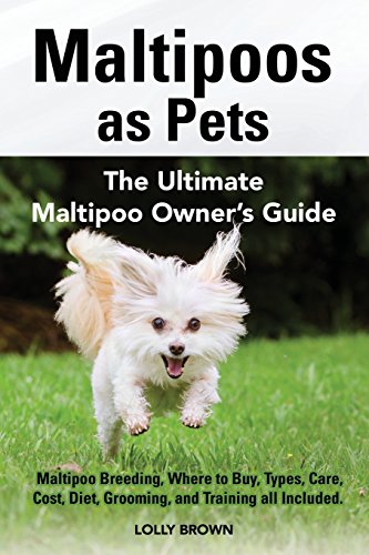 Maltipoos as Pets