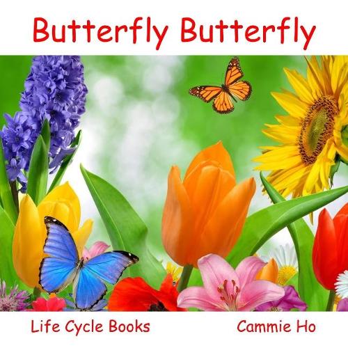 Butterfly Butterfly