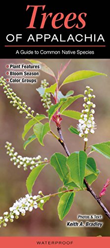 Trees of Appalachia a Guide to Common Native Secies
