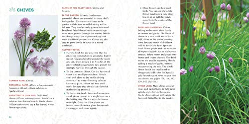 A Taste for Herbs