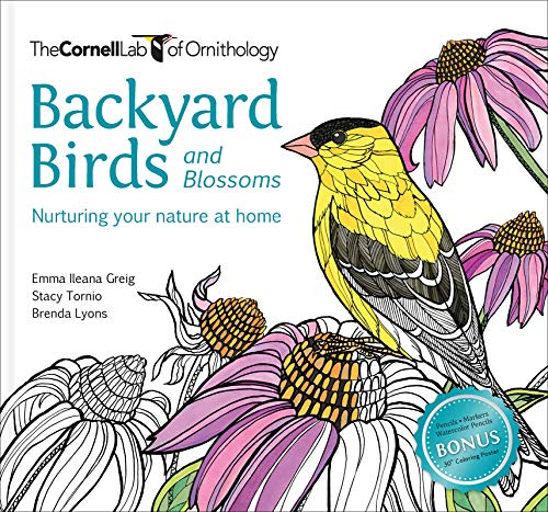 Backyard Birds and Blossoms