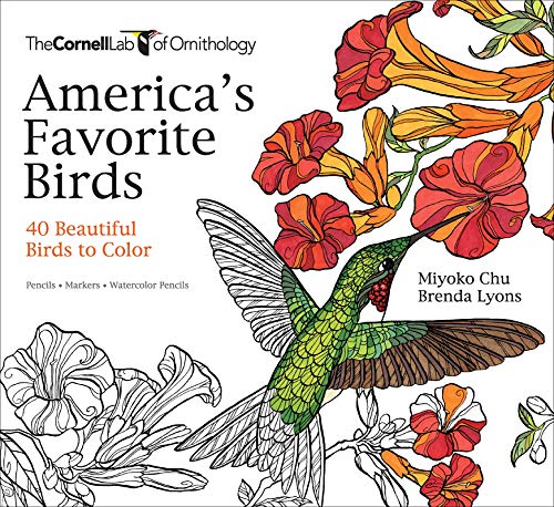 America's Favorite Birds