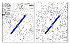 Cats & Quilts