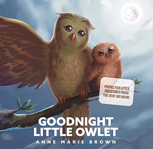 Goodnight Little Owlet