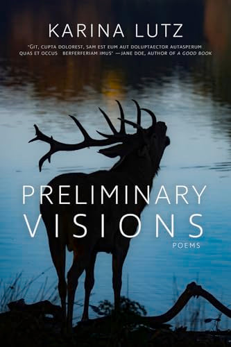 Preliminary Visions