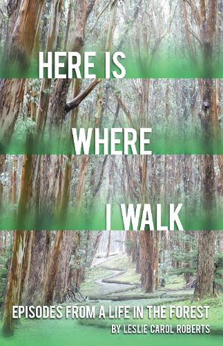 Here Is Where I Walk