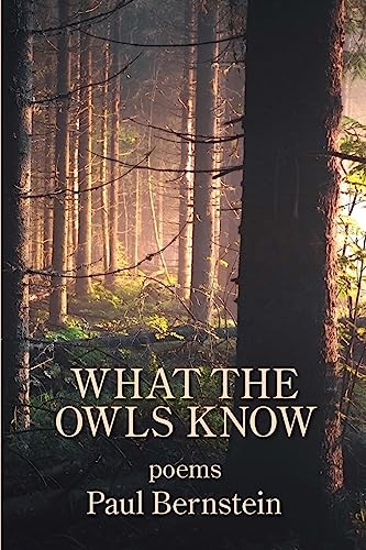 What the Owls Know