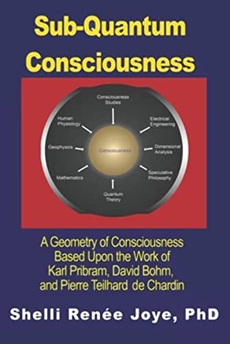 Sub-Quantum Consciousness