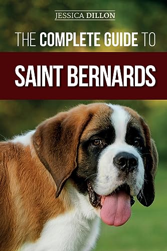 The Complete Guide to Saint Bernards