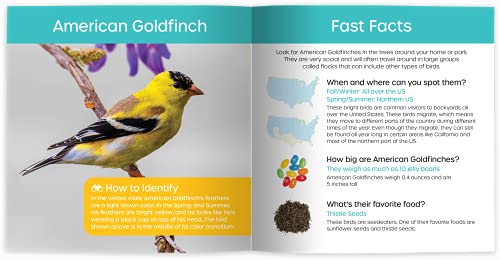 My Backyard Bird Book