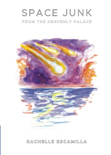 Space Junk from the Heavenly Palace