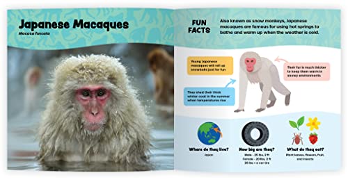 The Fantastic World of Monkeys & Apes and More