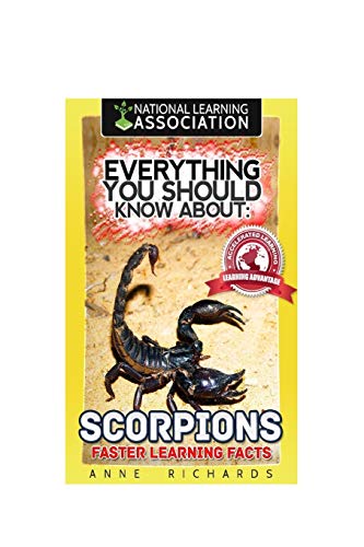 Everything You Should Know About