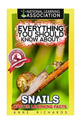 Everything You Should Know About