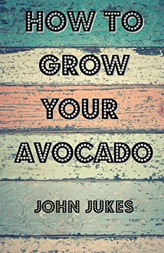 How to Grow Your Avocado