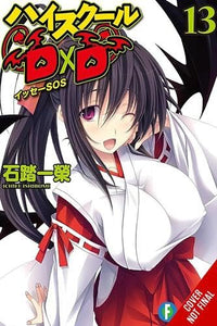 High School DxD, Vol. 13 (light novel) 
