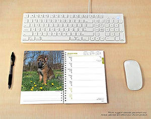 Horse Lovers 2020 Diary 