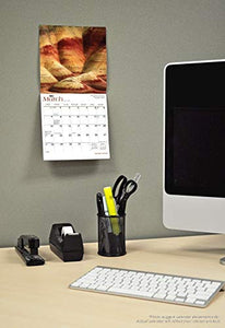 For the Love of Puppies 2021 7 x 7 Inch Monthly Mini Wall Calendar with Foil Stamped Cover by Plato, Animals Dog Breeds Puppies 