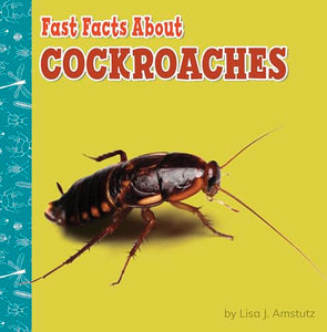 Cockroaches 