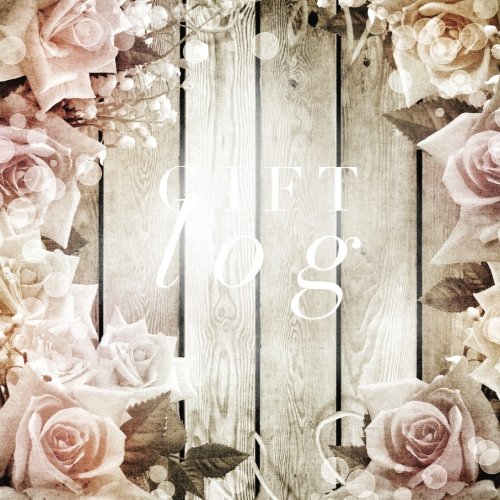Gift Log Registry Recorder Organizer Keepsake Record for All Occasions  Bridal Baby Shower Wedding Birthdays Christening Christmas  Other   Personal Organization Volume