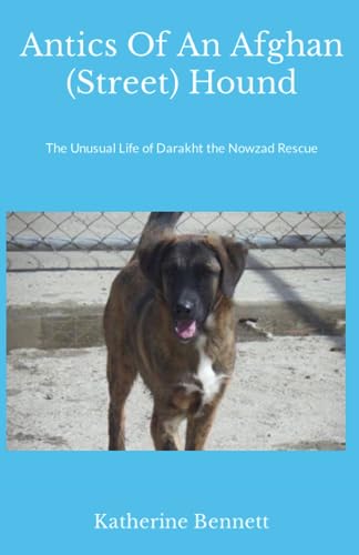 Antics Of An Afghan (Street) Hound: The Unusual Life Of Darakht The Nowzad Rescue