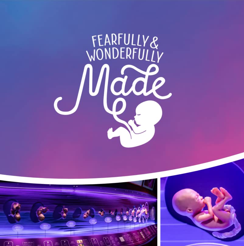 Fearfully & Wonderfully Made