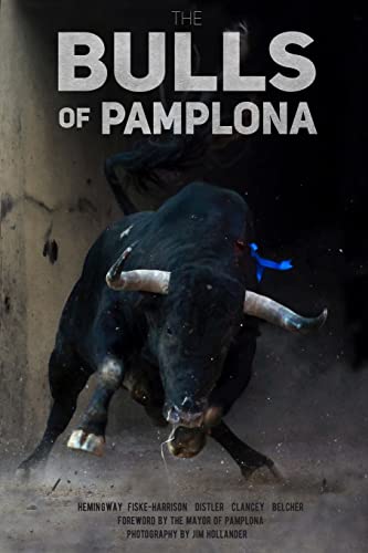 The Bulls of Pamplona