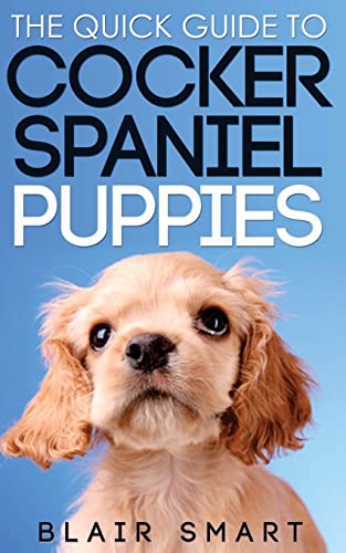 The Quick Guide to Cocker Spaniel Puppies