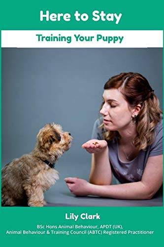 Here to Stay: Training Your Puppy