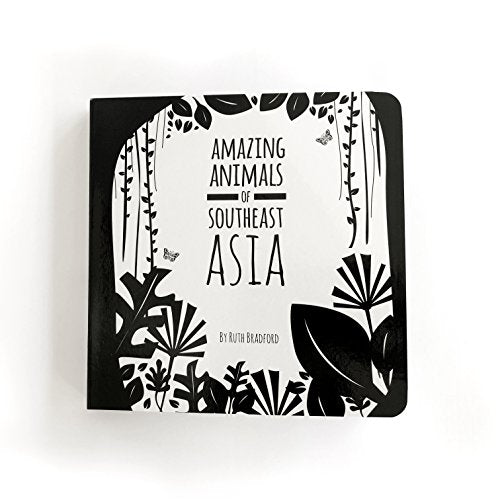 Amazing Animals Of Southeast Asia