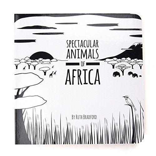 Spectacular Animals from Africa