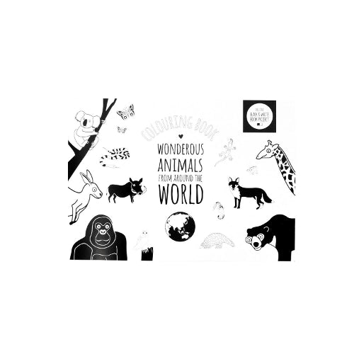 Wonderous Animals From Around the World