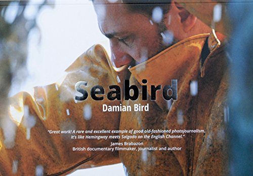 Seabird