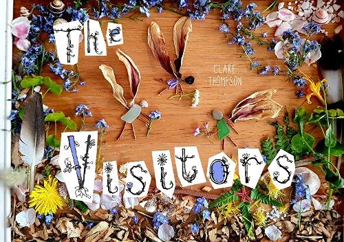 The Visitors