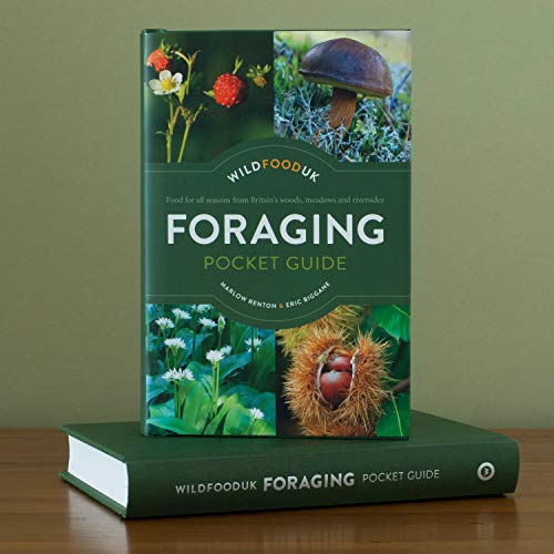 Foraging Pocket Guide