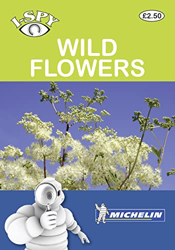 i-SPY Wild Flowers