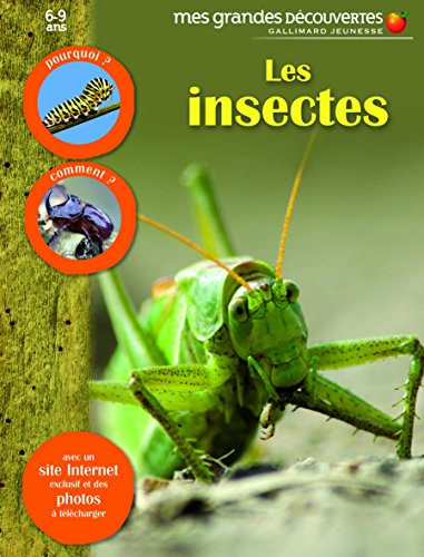 Les insectes: pourquoi ?, comment ? et avec un site internet exclusif et des photos à télécharger