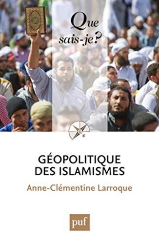 GEOPOLITIQUE DES ISLAMISMES QSJ 4014 (QUE SAIS-JE ?)