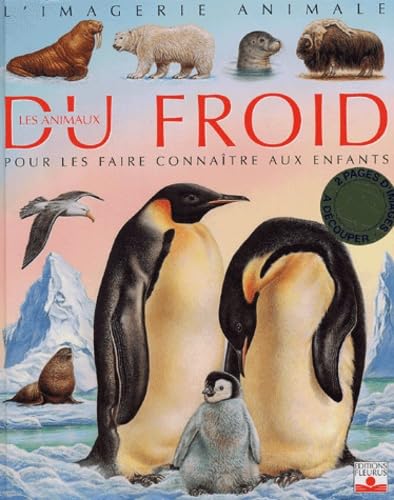 La Grande Imagerie Fleurus