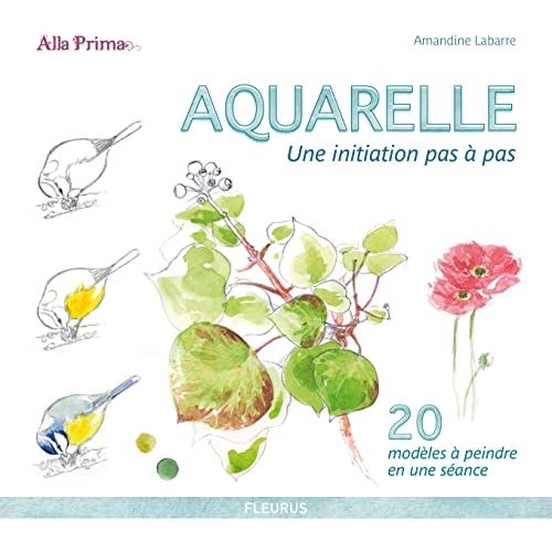 Aquarelle: Une initiation pas à pas