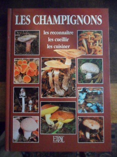 Les champignons