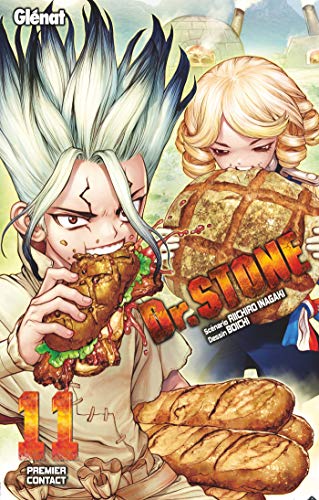 Dr. Stone - Tome 11 (Dr. Stone (11)