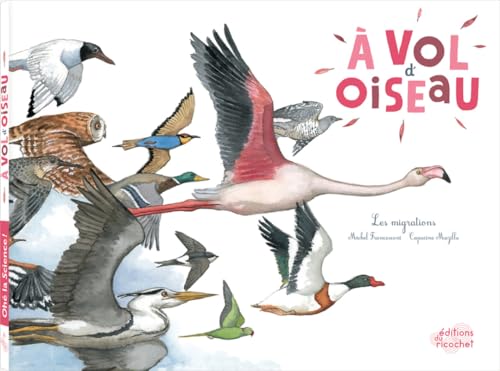 A VOL D'OISEAU: Les migrations