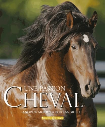 Cheval, une passion